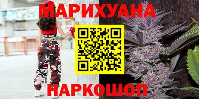 прущие грибы Камышлов