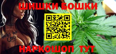 прущие грибы Камышлов
