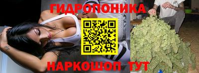 прущие грибы Камышлов